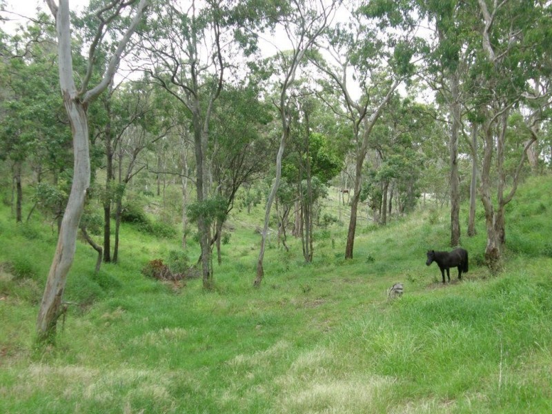 4 Wehl Ct, Mount Rascal QLD 4350