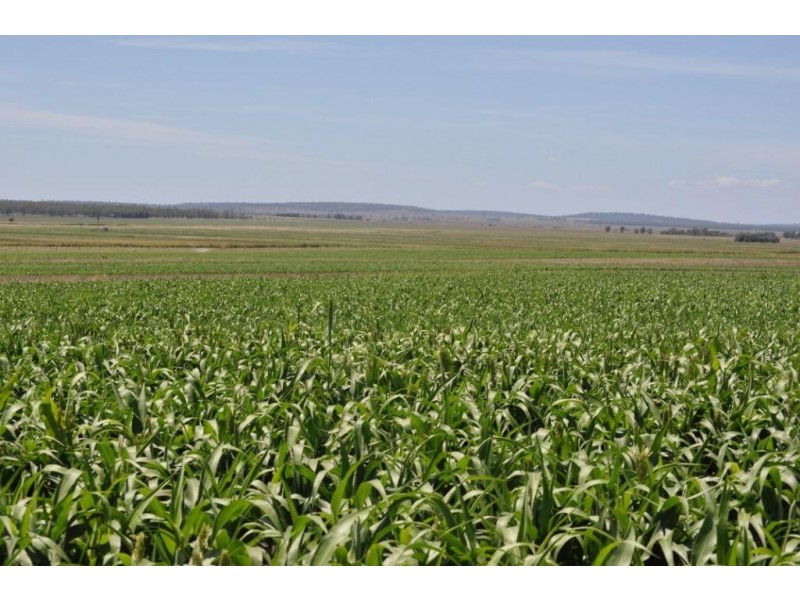 00 Pittsworth Clifton Rd, Pittsworth QLD 4356