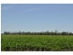 00 Pittsworth Clifton Rd, Pittsworth QLD 4356