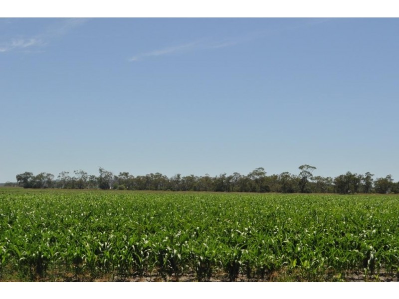 00 Pittsworth Clifton Rd, Pittsworth QLD 4356