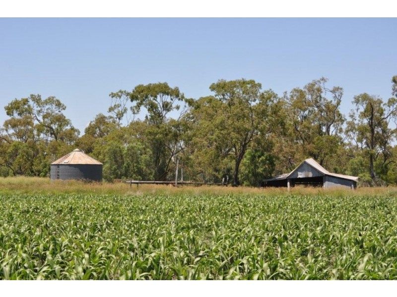 00 Pittsworth Clifton Rd, Pittsworth QLD 4356