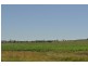 00 Pittsworth Clifton Rd, Pittsworth QLD 4356