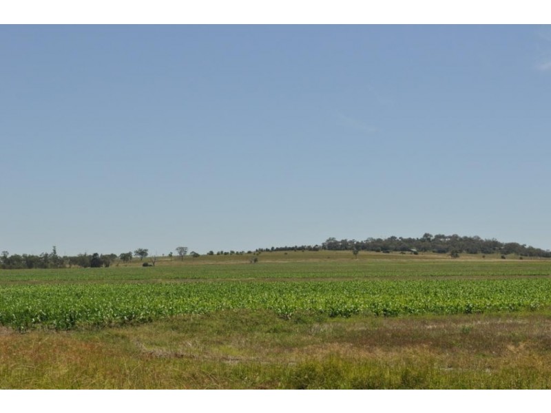 00 Pittsworth Clifton Rd, Pittsworth QLD 4356