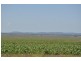 00 Pittsworth Clifton Rd, Pittsworth QLD 4356