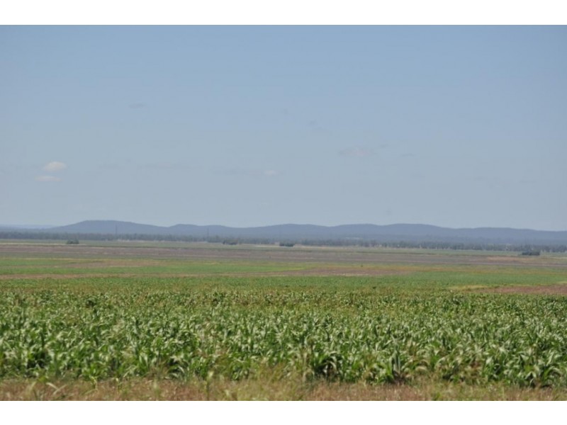 00 Pittsworth Clifton Rd, Pittsworth QLD 4356