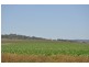 00 Pittsworth Clifton Rd, Pittsworth QLD 4356
