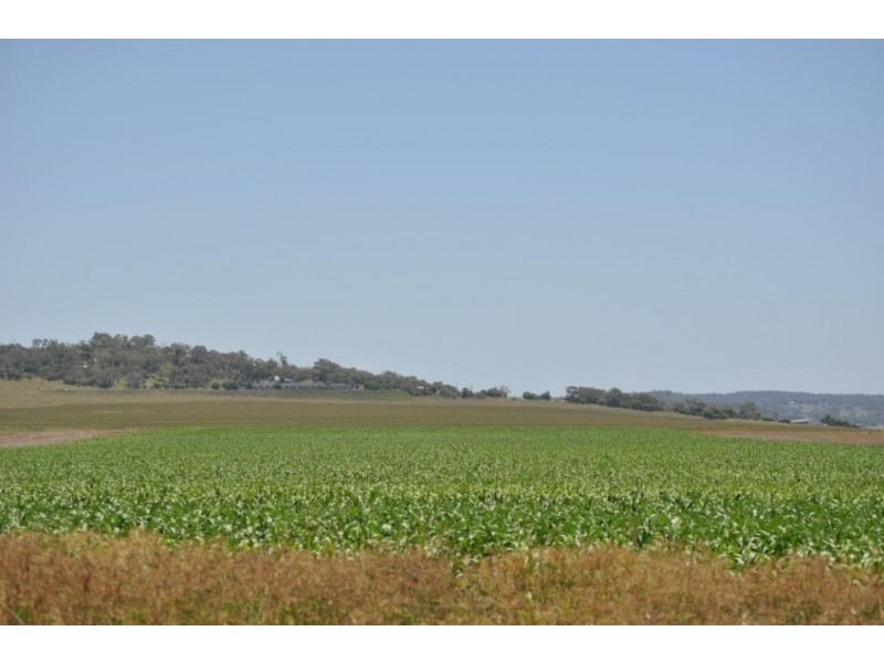 00 Pittsworth Clifton Rd, Pittsworth QLD 4356