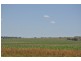 00 Pittsworth Clifton Rd, Pittsworth QLD 4356