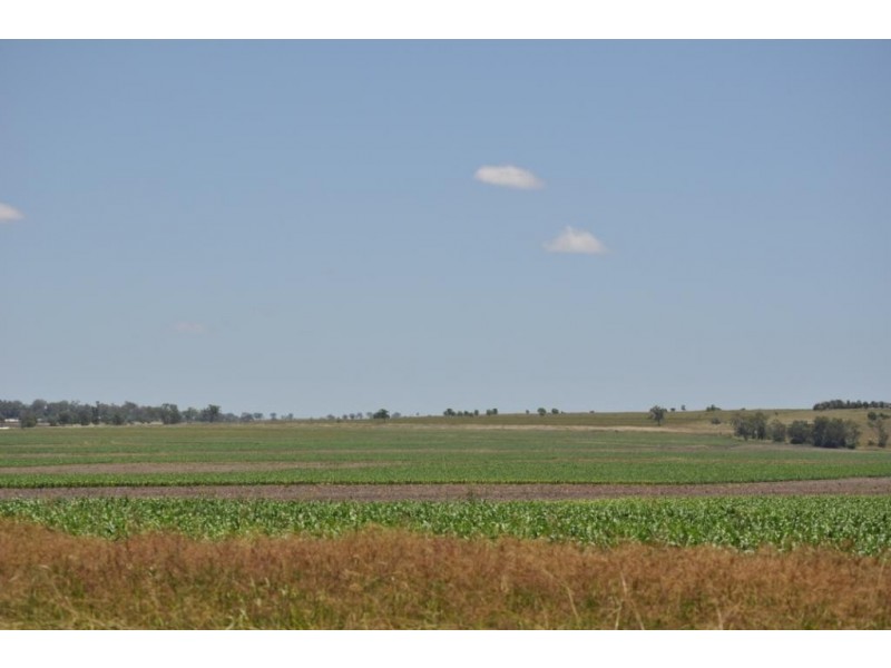 00 Pittsworth Clifton Rd, Pittsworth QLD 4356
