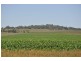 00 Pittsworth Clifton Rd, Pittsworth QLD 4356
