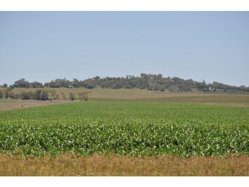 00 Pittsworth Clifton Rd, Pittsworth QLD 4356