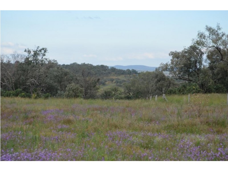 256  Hazelwood Rd, Southbrook QLD 4363