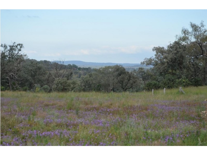 256  Hazelwood Rd, Southbrook QLD 4363