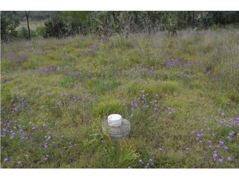 256  Hazelwood Rd, Southbrook QLD 4363