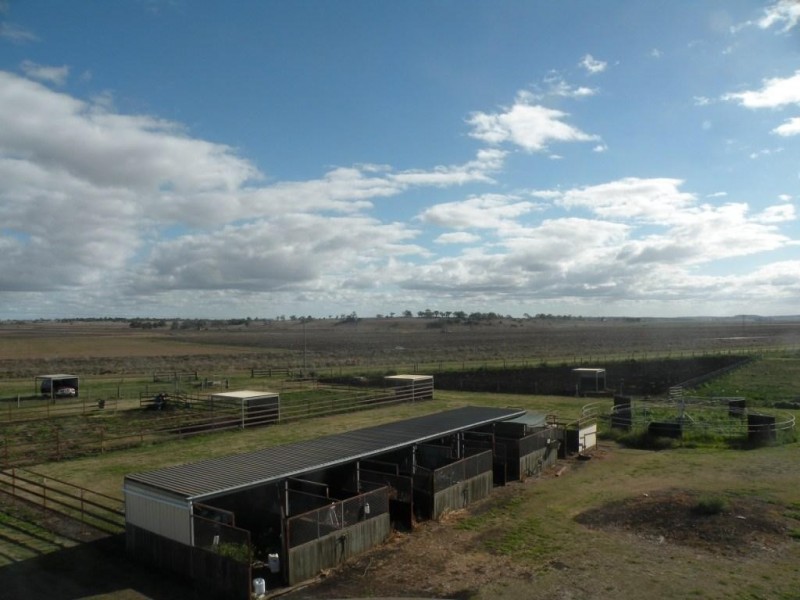 Kingsthorpe QLD 4400