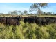 149 Maryvale St, Allora QLD 4362