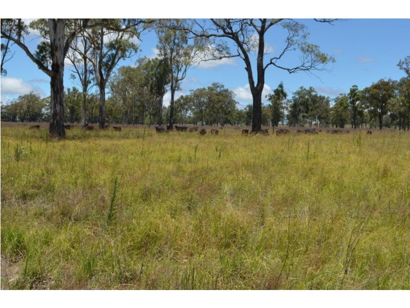 149 Maryvale St, Allora QLD 4362