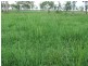 149 Maryvale St, Allora QLD 4362