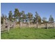 Kings Creek QLD 4361