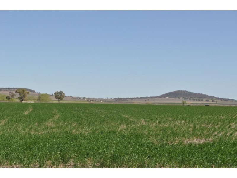 Kings Creek QLD 4361
