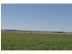 Kings Creek QLD 4361