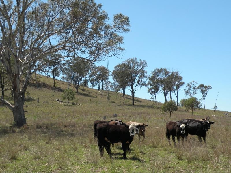 Groomsville QLD 4352