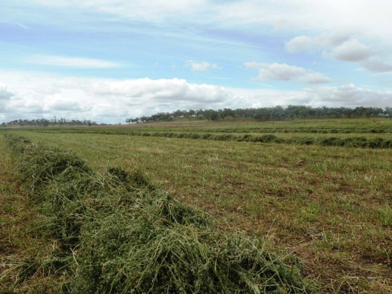 168 Richardson Road, Southbrook QLD 4363