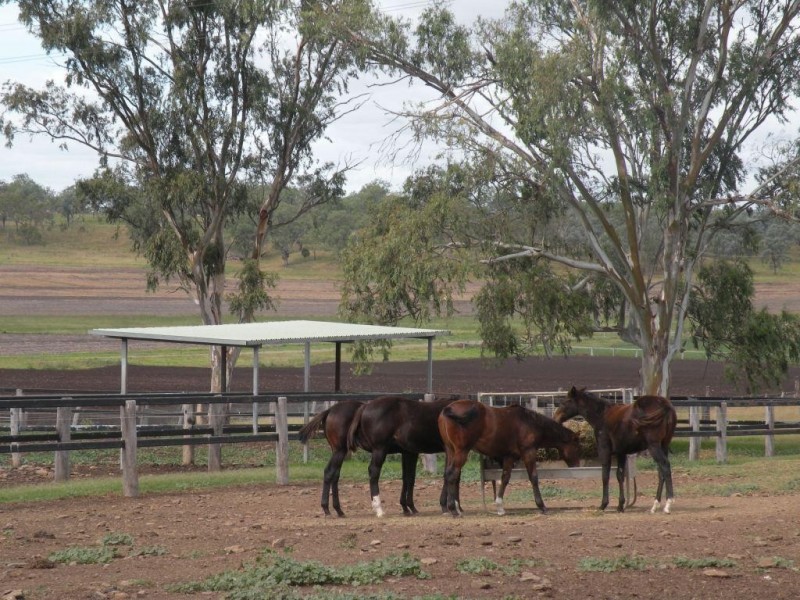 168 Richardson Road, Southbrook QLD 4363