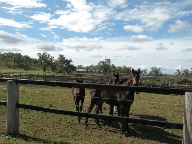 168 Richardson Road, Southbrook QLD 4363