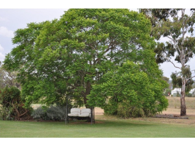 200 Newton Road, Westbrook QLD 4350