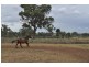 200 Newton Road, Westbrook QLD 4350