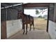 200 Newton Road, Westbrook QLD 4350