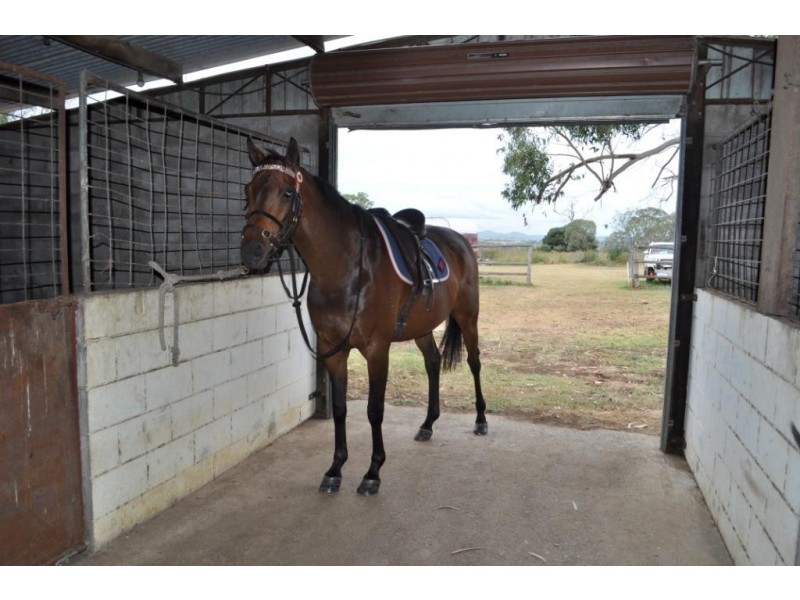 200 Newton Road, Westbrook QLD 4350