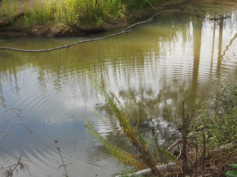 1502 Murphy’s Creek Road, Murphys Creek QLD 4352