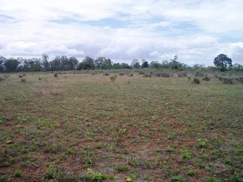 Meringandan QLD 4352