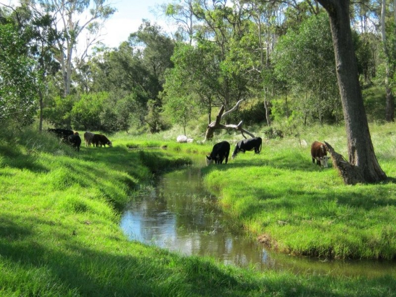 Lot 53 Copper Creek Road, Maidenwell QLD 4615