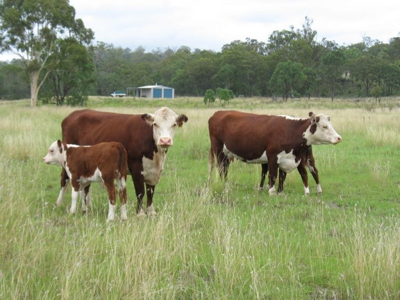 Lot 53 Copper Creek Road, Maidenwell QLD 4615