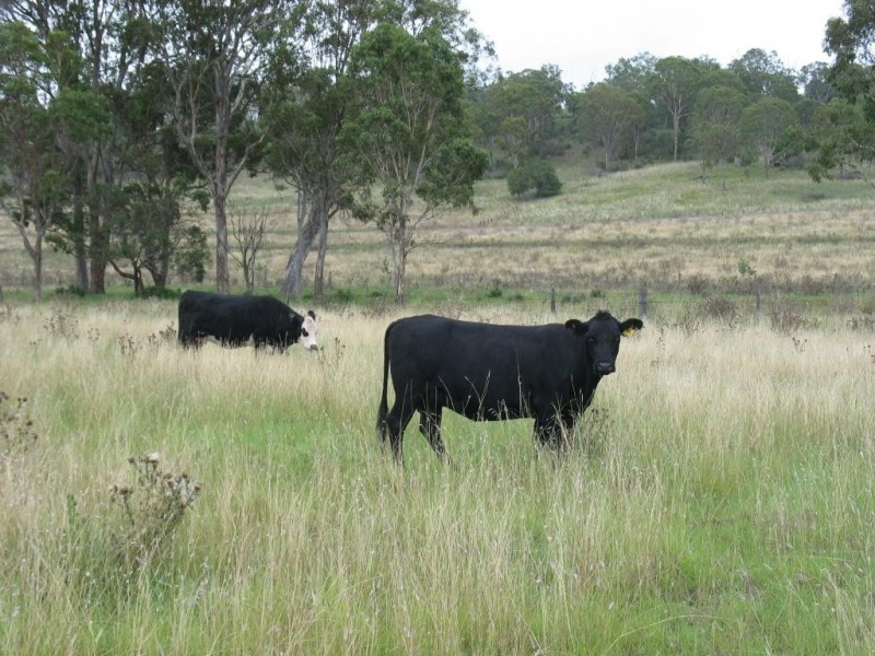 Lot 53 Copper Creek Road, Maidenwell QLD 4615