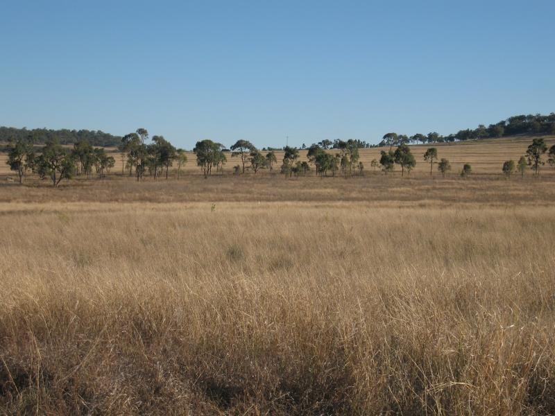 - – Lorenz Road, Mt Molar, Nobby QLD 4360