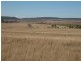 - – Lorenz Road, Mt Molar, Nobby QLD 4360