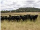 140 Clifton-Pittsworth Road, Mount Molar QLD 4361