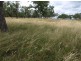 140 Clifton-Pittsworth Road, Mount Molar QLD 4361