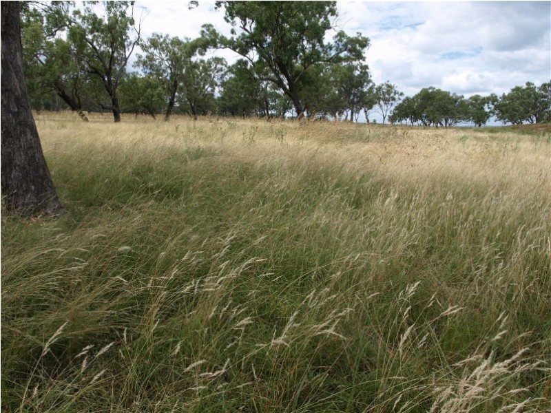 140 Clifton-Pittsworth Road, Mount Molar QLD 4361