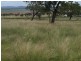 140 Clifton-Pittsworth Road, Mount Molar QLD 4361
