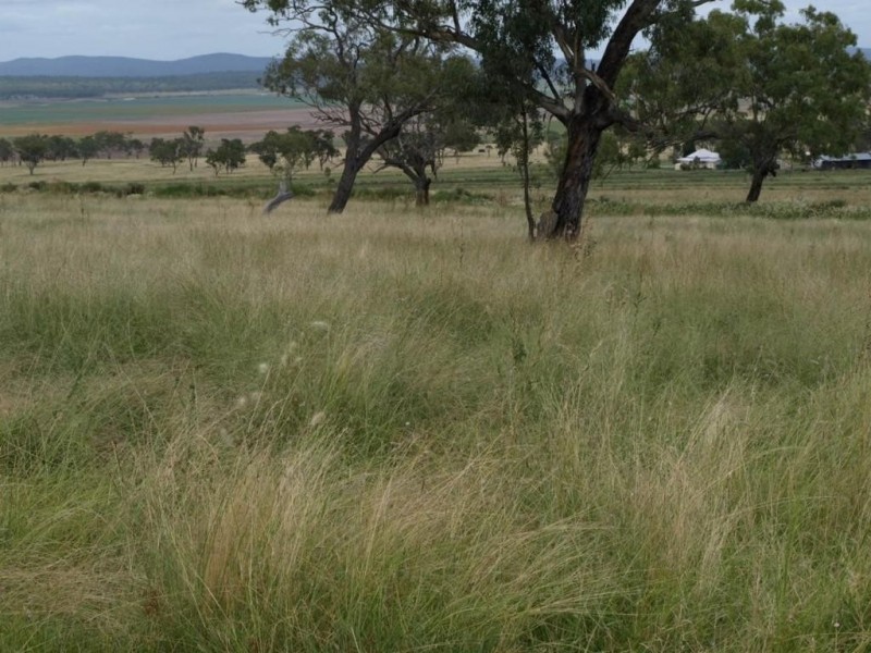 140 Clifton-Pittsworth Road, Mount Molar QLD 4361