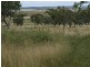 140 Clifton-Pittsworth Road, Mount Molar QLD 4361