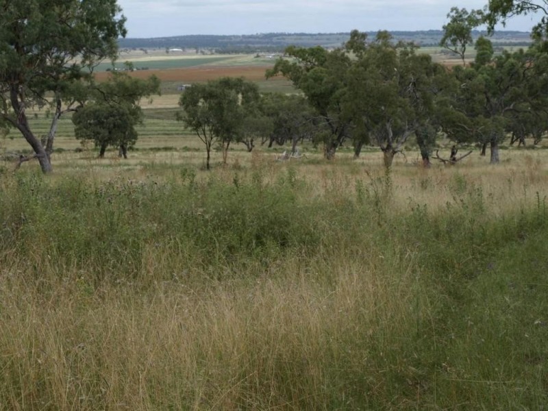 140 Clifton-Pittsworth Road, Mount Molar QLD 4361
