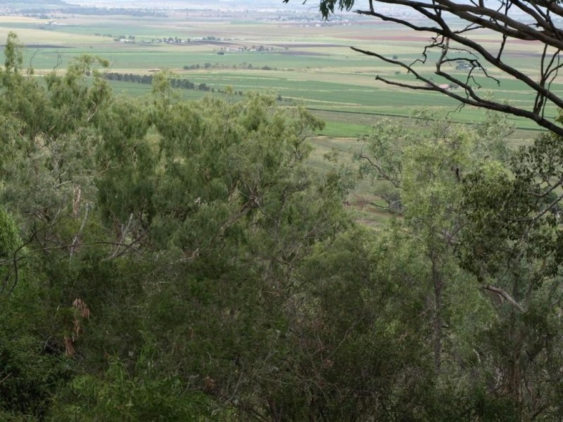 140 Clifton-Pittsworth Road, Mount Molar QLD 4361