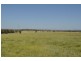 Lot 196 Gore Highway, Westbrook QLD 4350