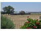 Pittsworth QLD 4356